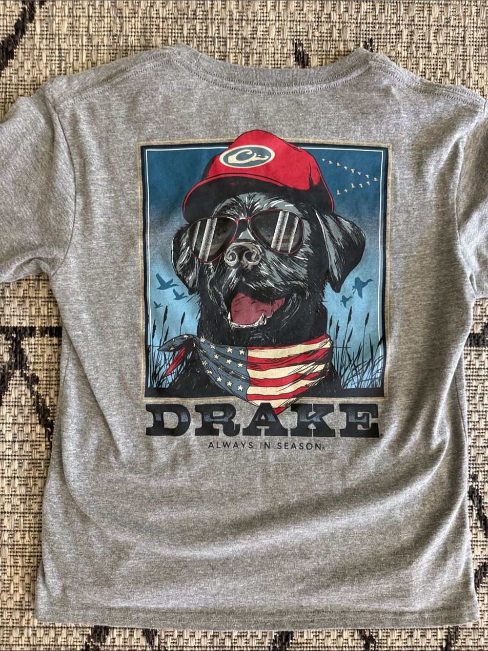 Drake Kids' Gray Short-Sleeve Dog Graphic Tee with Red Accent- Boys Large